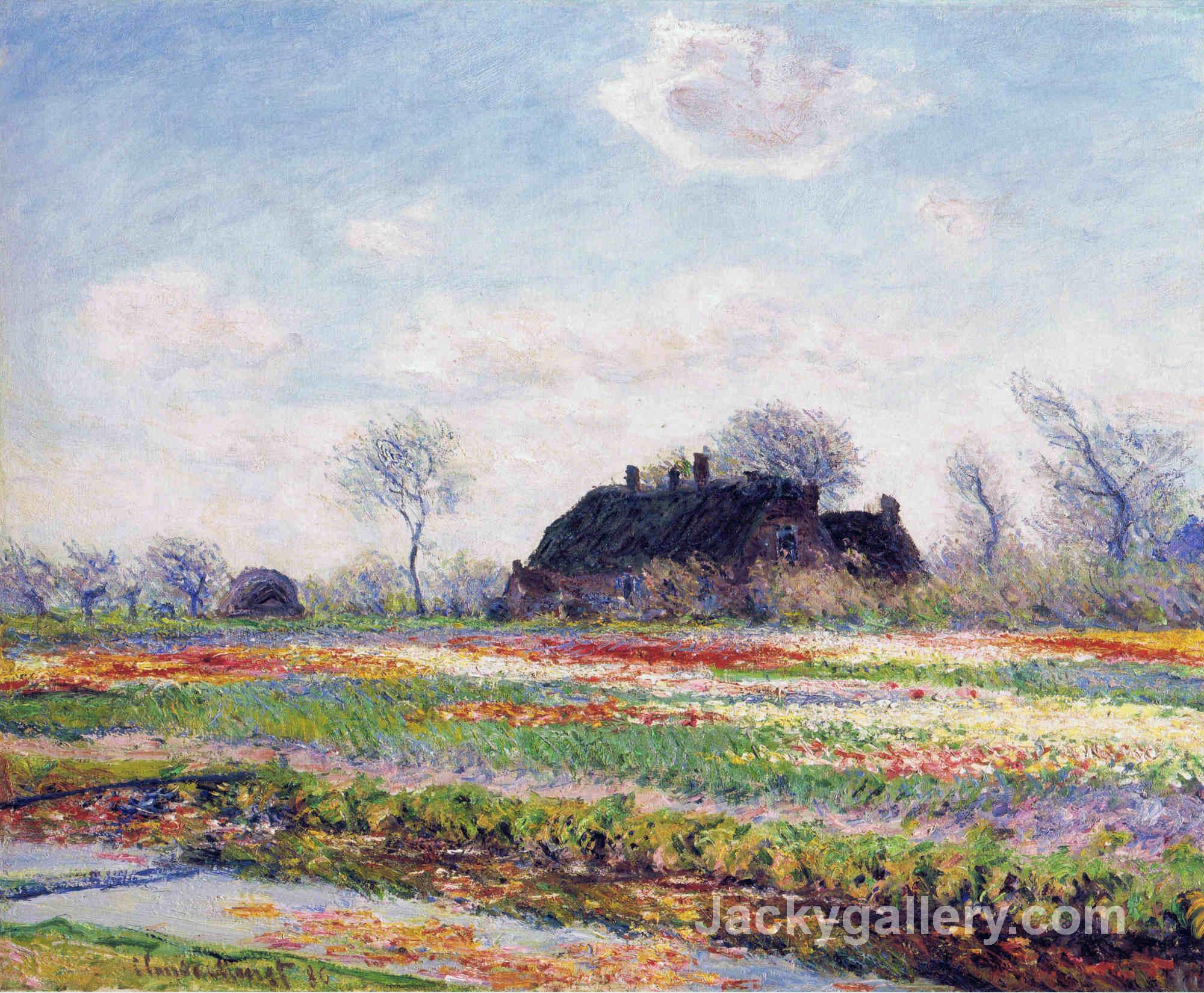 Tulip Fields at Sassenheim, near Leiden by Claude Monet paintings reproduction